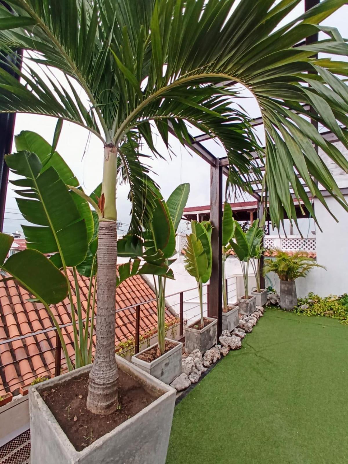 Habitacion Recien Restaurada En Getsemani Cartagena Εξωτερικό φωτογραφία