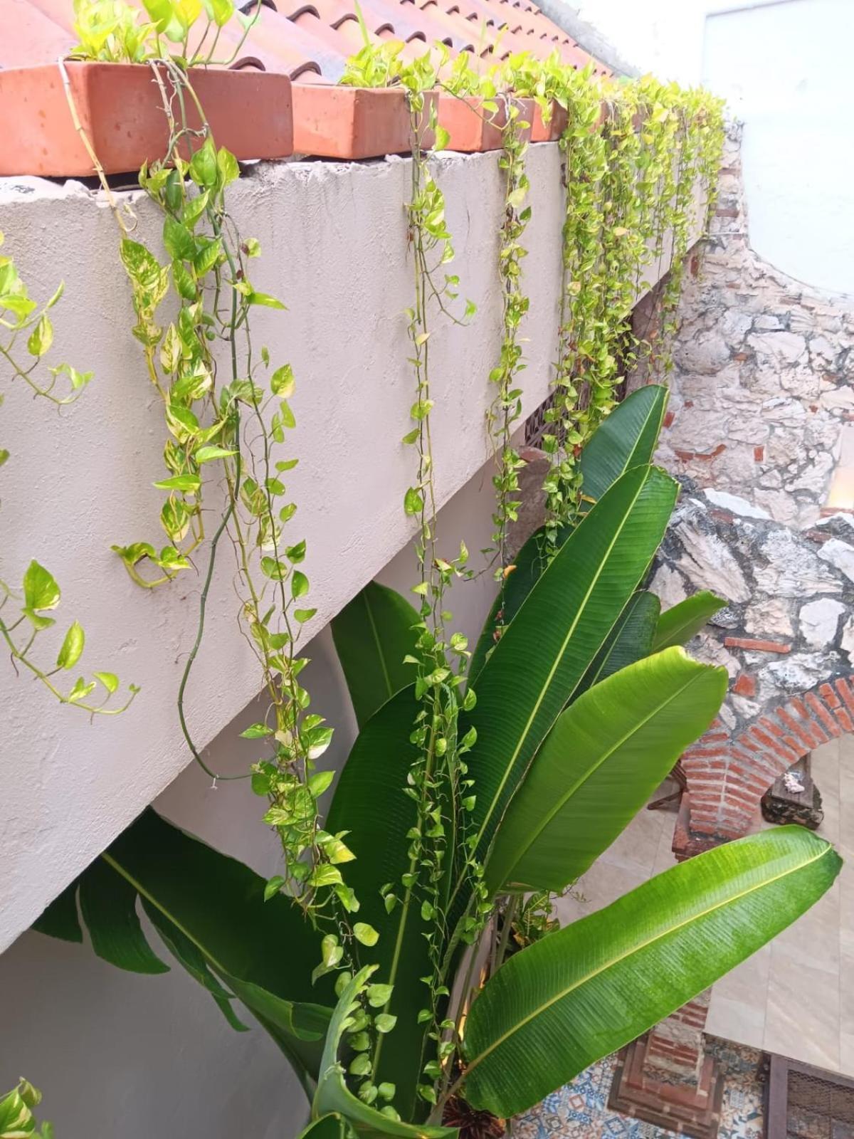 Habitacion Recien Restaurada En Getsemani Cartagena Εξωτερικό φωτογραφία